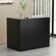 Alyiana L-Shaped Solid + Manufactured Wood Reception Desk with Filing Cabinet