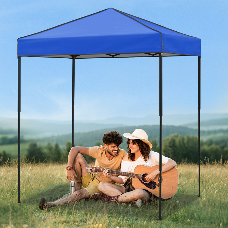 6x4 Canopy Tent, Heavy Duty Pop up Canopy with Carry Bag, Blue