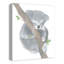 Art sur toile sleepy koala Bradley-176212174