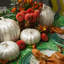 Capiz Pumpkin-1942376119-1942376117-1942376104