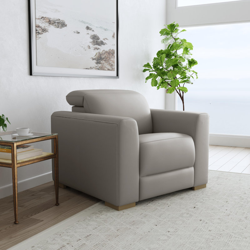 Celeste Power Recliner With Adjustable Power Headrest, Gray