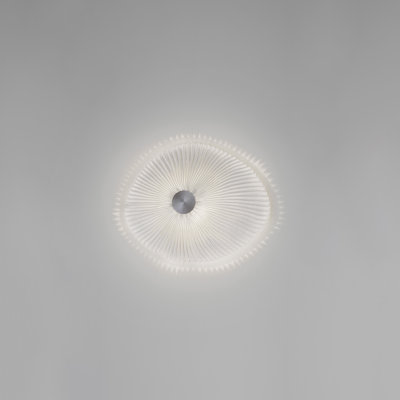 Onn Wall Sconce