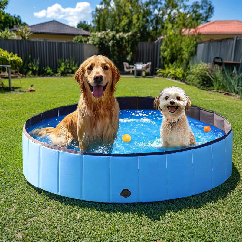 Round Pet Pool H x W x L, 160cm W x 30cm H, Blue