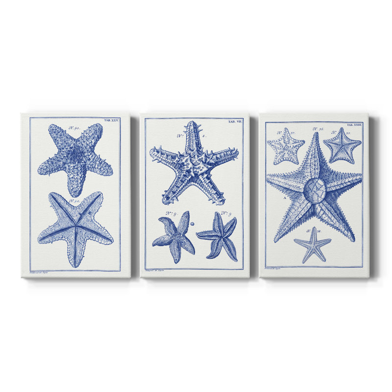 Blue Sea Stars IV - Toile tendue avec châssis sur mesure - 3 pièces, H 36 po x l 72 po