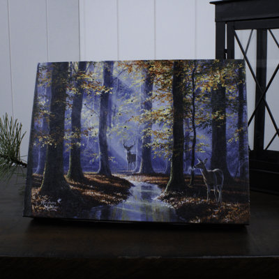 Toile de table 8x6