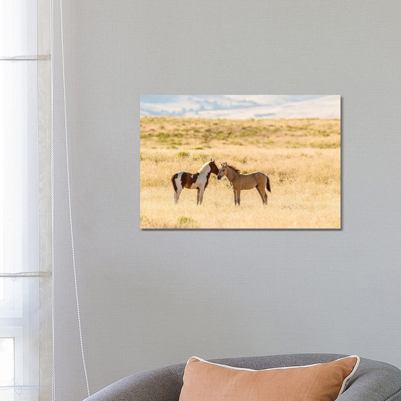 USA, Utah, Tooele County. Wild Horse Foals Greeting. by Jaynes Gallery - Wrapped Canvas Gallery-Wrapped Canvas Giclée