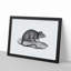 Rat Illustration - Framed Print-55616464-55616468