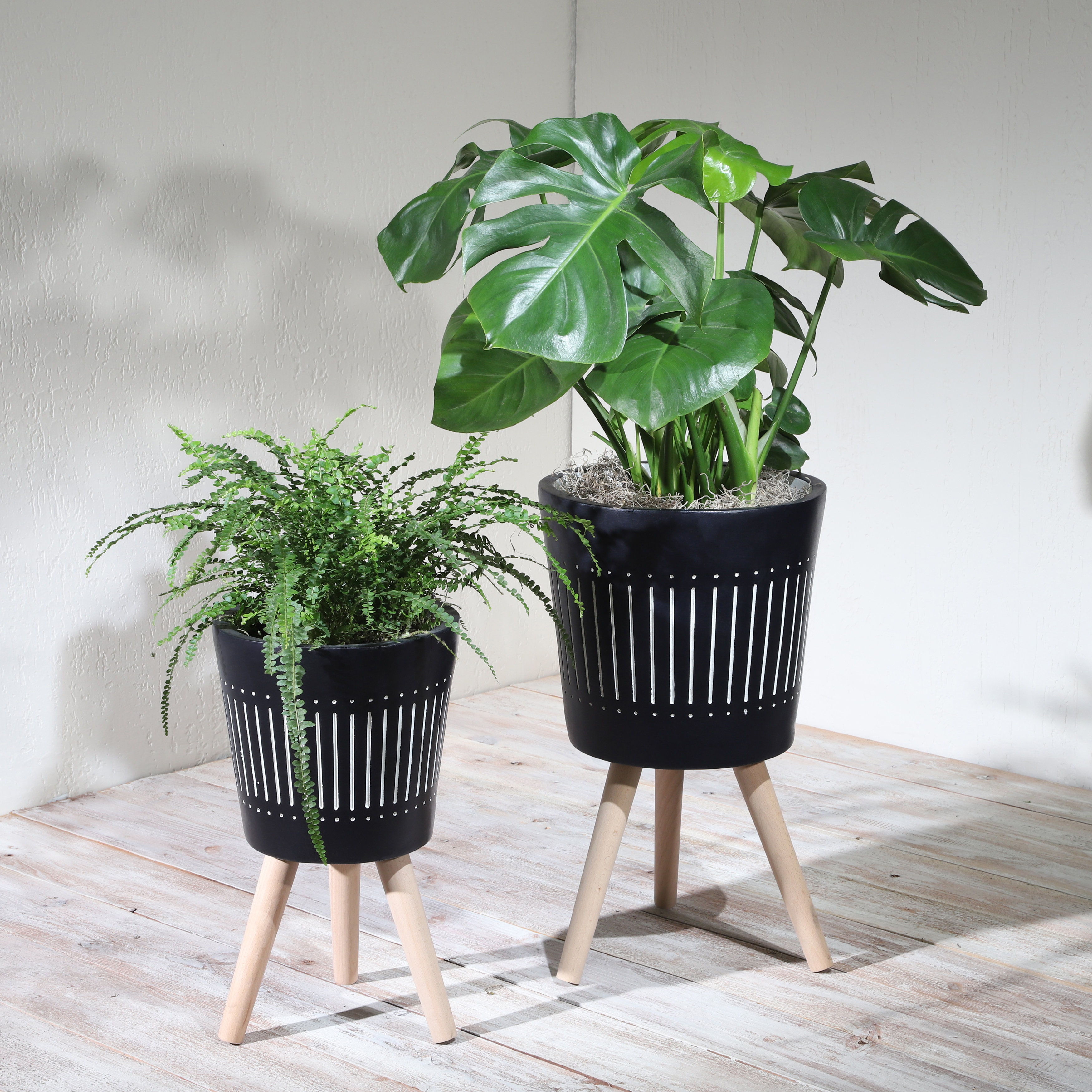 10 Indoor Plants & Planters