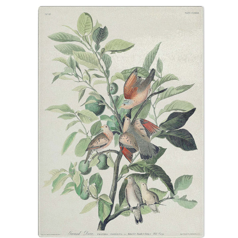 Glass Ground Doves by John James Audubon Chopping Board, 39 cm W x 28.5 cm L