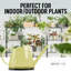 Arrosoir pour plantes d'intérieur Zulay-86738544
