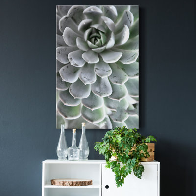 " Zen Succulent IV "
