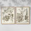 «Sepia Botanical Journal III», reproduction encadrée de qualité supérieure - prête à être accrochée - aucun clou requis - aucun clou requis-843259686-843259685