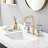 2-Handle Brass Bathroom Sink Faucet with Swivel Spout