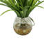 Robblee Faux Foliage Grass in Glass Vase