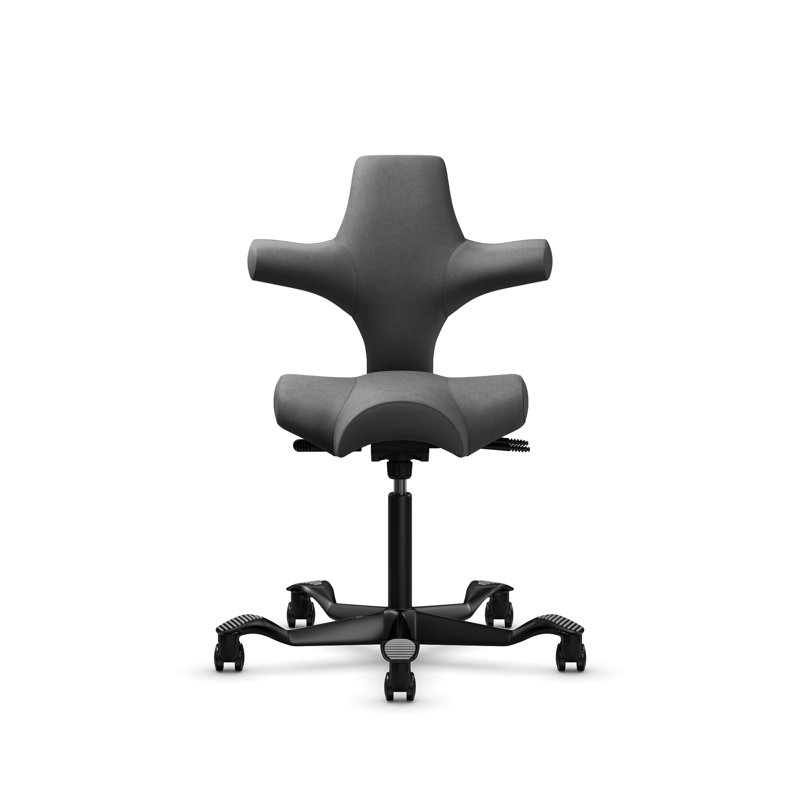  HÅG Capisco Adjustable Sit-to-Stand Height Chair, Black, Gray Dove, Sit-to-Stand