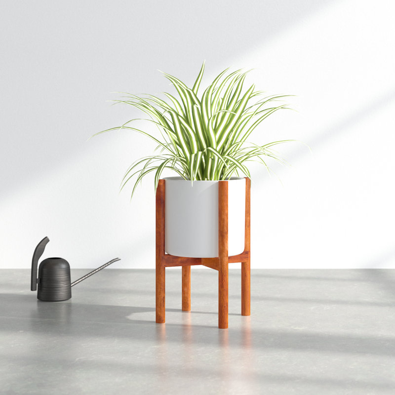 Dominic Pot Planter, White/Walnut