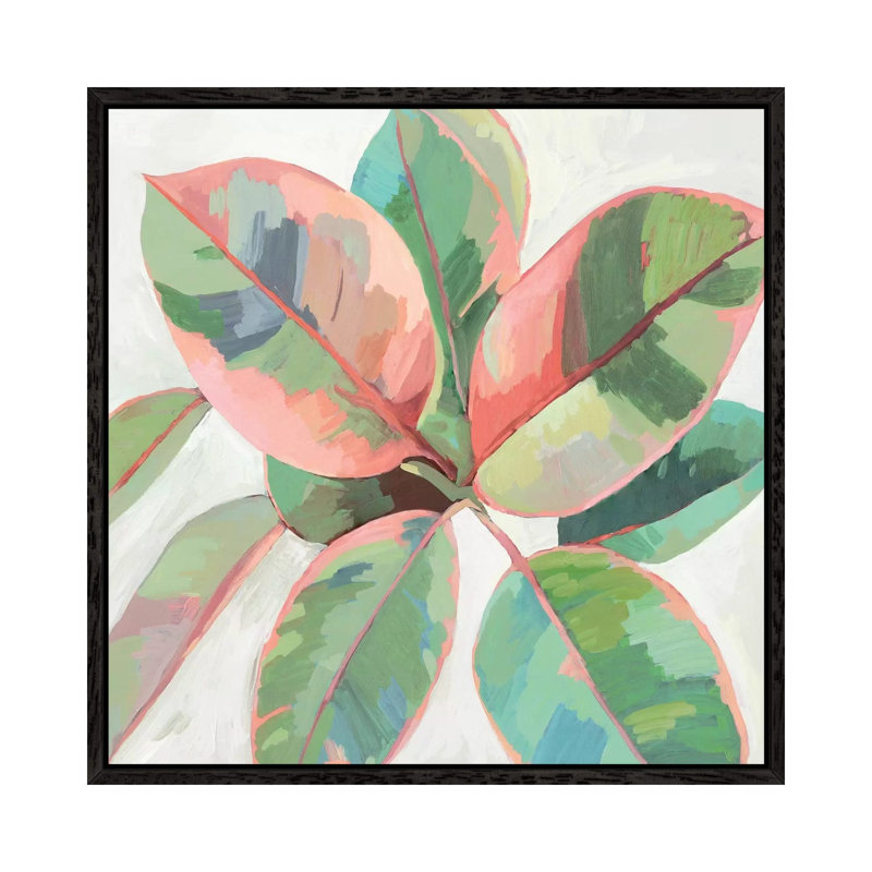 Pink Ficus II by Asia Jensen - Painting on Canvas, 45.72cm H x 45.72cm W x 3.81cm D, Black Framed