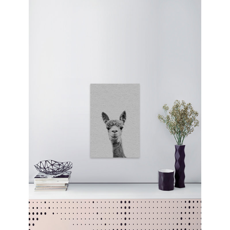 «Llama Face III», reproduction sur toile, H 36 po x l 24 po x P 1,5 po