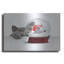  «Christmas Snow Globe» par John Hovenstine, art mural en métal, 16 po x 12 po-1674150903