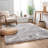 Mcclain Silver/Grey Shag Soft Area Rug-971058251