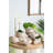 8.5X5.5X6.3 Inches Sand Cement Shell Planter, Textured Beige Finish, Enhances Aesthetic Of Your Rooms And Brings A Rustic Atmosphere To Barns-436327240