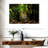 Brampt Belize Jungle Jaguar-107849459