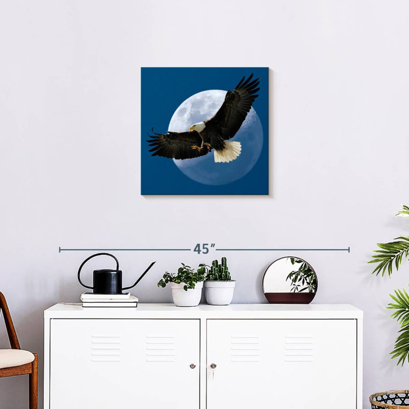 Crowle Midnight Bald Eagle