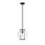 Luminaire suspendu d'extérieur 1 lumière H 10,75 po Fosdick-1564764591