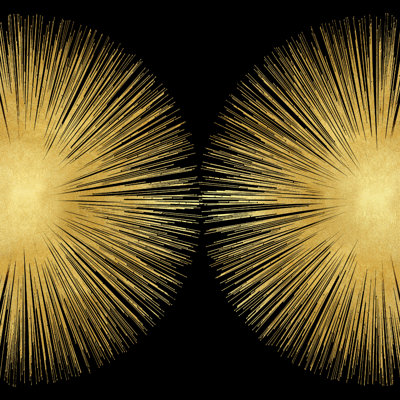Sunburst On Black II 1 Piece Wrapped Canvas Wall Art