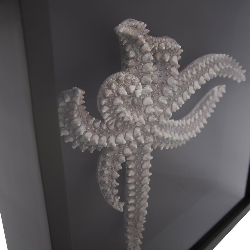 Star Fish Framed Art