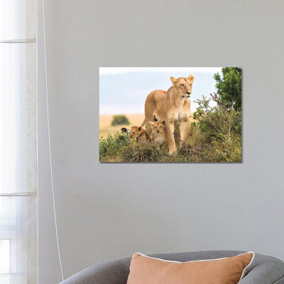 Liones Yaya with Cubs 1 Piece Wrapped Canvas Wall Art