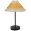 Ameenah Iron Table Lamp-842492214