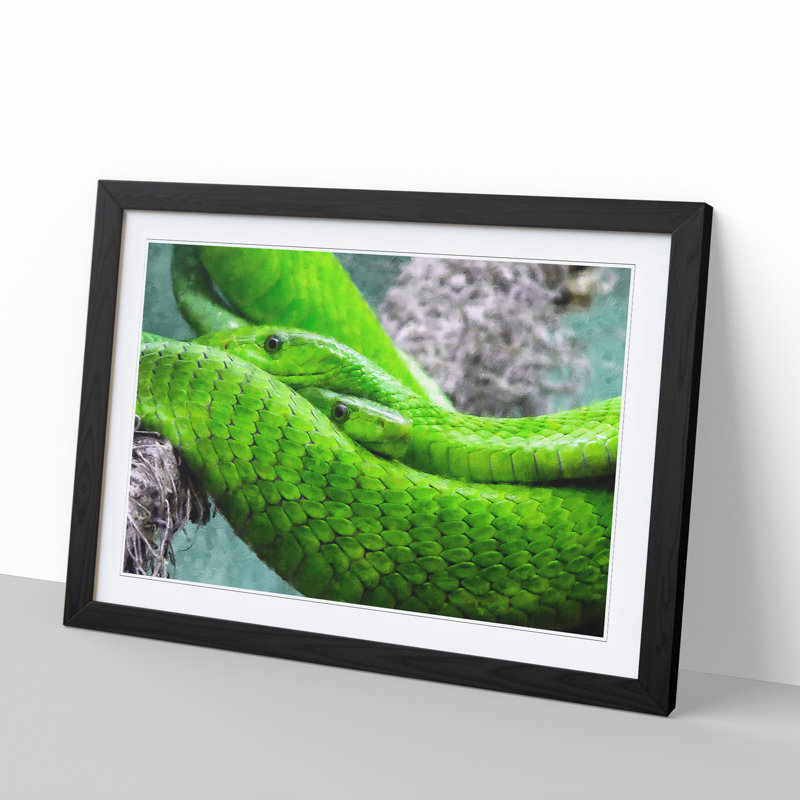 Green Mamba Snakes - Framed Print, 27cm H x 36cm W x 2cm D, Black Framed