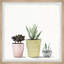 Vases of Succulents - Ensemble de 2 peintures encadrées-1236484152