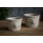 Lynda Pot Planter-659917633