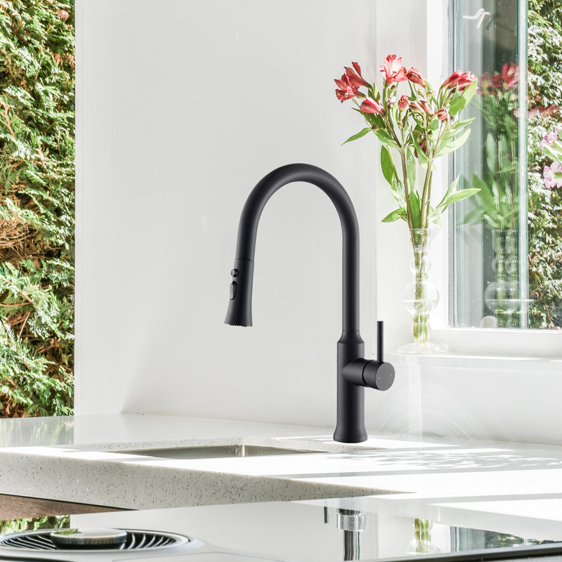 Nette Single-Handle Kitchen Faucet with Pull Down Sprayer , Matte Black