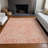  Machine Washable Indoor/Outdoor Chayden ACN1030 Rug-1677918110