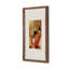 Collected Curiosities by Kurt Schwitters-1588176631
