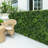 2 ft. H x 2 ft. W Artificial Topiary Polyethylene Privacy Screen