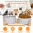 Pet Bowl
