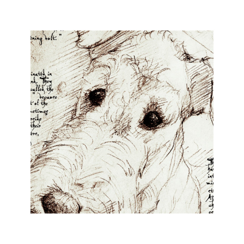 Coussin intérieur / extérieur Airedale Terrier Airedale Terrier