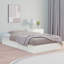 Bed Frame Solid Wood-2013091047-2013091070