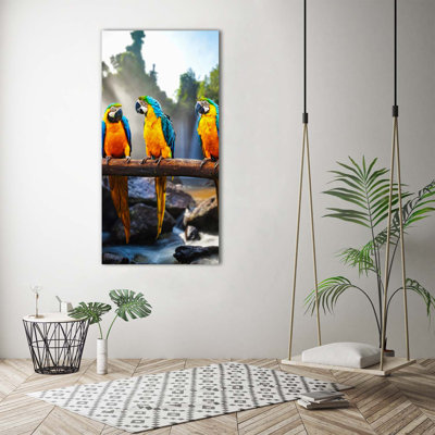 Macaw Parrots - Wrapped Canvas Print