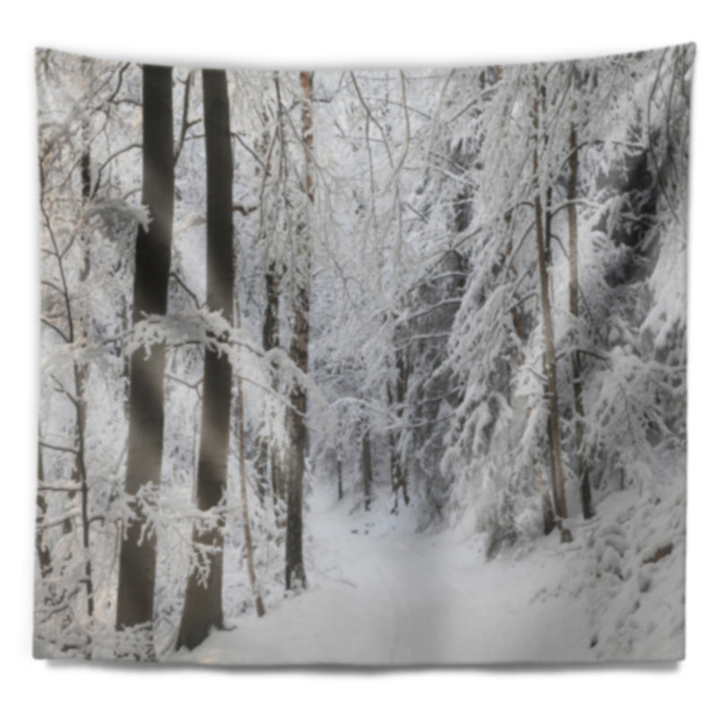 Tapisserie de forêt et de couloir d’hiver dense en polyester avec accessoires suspendus inclus, H 32 po x l 39 po