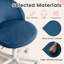 Latitude Run® Velvet Task Chair-419722720