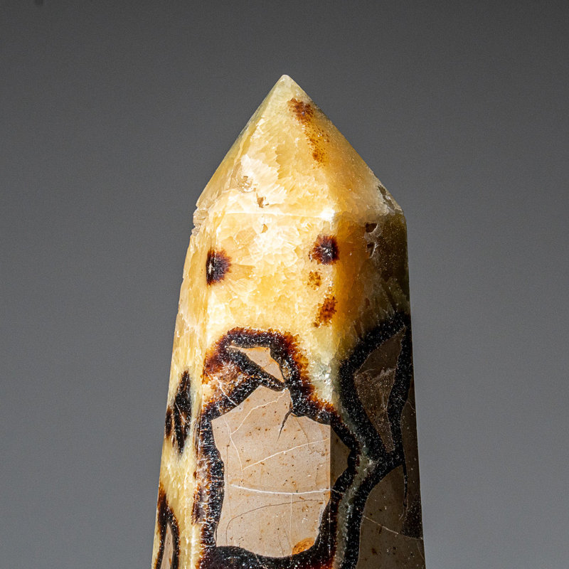 Genuine Polished Septarian Point from Madagascar (1.7 Lbs)