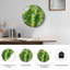"Bamboo Forest", horloge murale en verre-1153010367