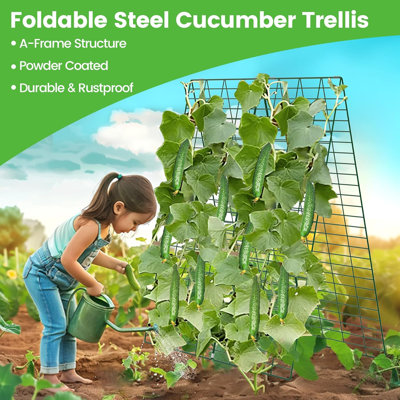 Foldable Cucumber Trellis, 48" L x 34" W A-Frame Trellis