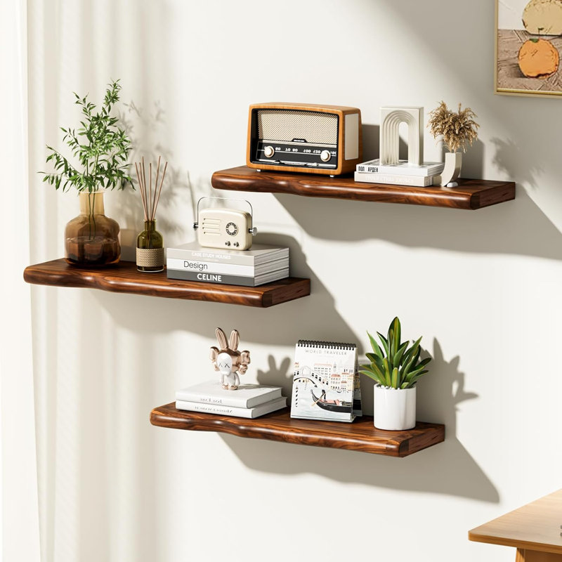 Wall Mounted Floating Shelf