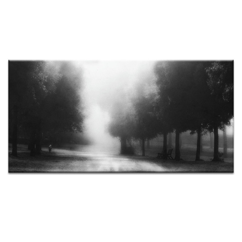 Wrapped Canvas Print, 51cm H x 102cm W